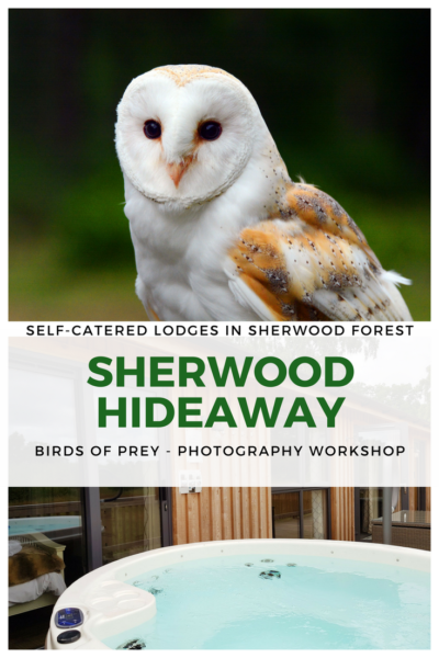 UK, Sherwood Forrest, Nottinghamshire Birds of Prey Event