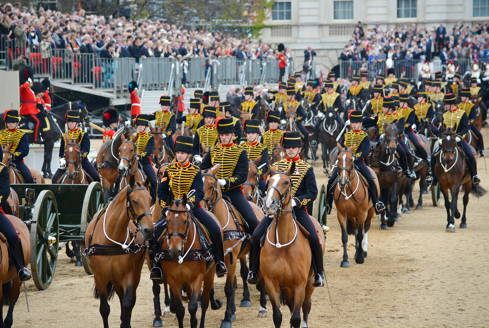 Roaming Required Trooping The Colour Horses2 