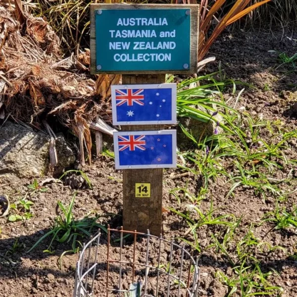 Close up on Australian and New Zealand flags pinned to a small wooden post in an allotment. The small green sign with white writing above the flags read "Australia, Tasmania, and New Zealand Collection". " Just one of many things to do in Durham for couples