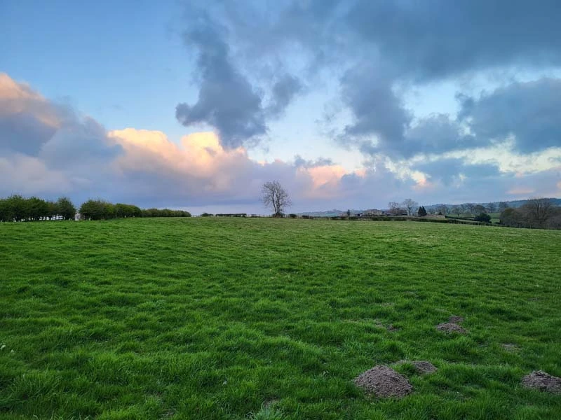 Exterior shot of landscape at Teesdale Cheesemakers. Green grass fills the lower half of frame. Solitary tree in the far distance, and a blue clouds in the top half of image. 