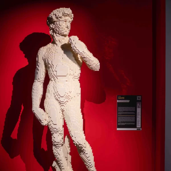 The Art of the Brick  - Michelangelo